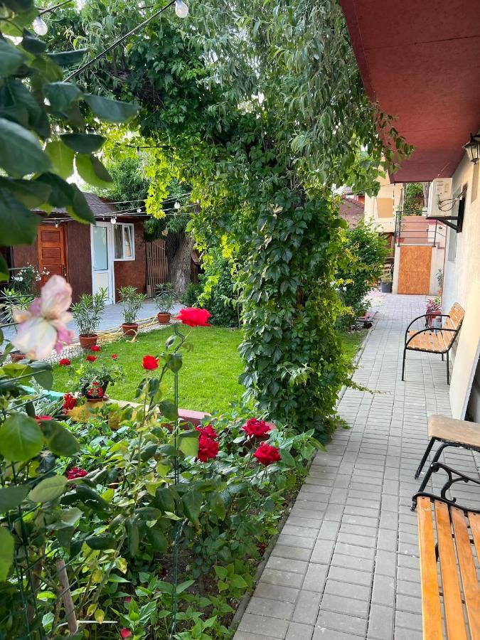 Vila Iris Mamaia Nord Неводарі Екстер'єр фото